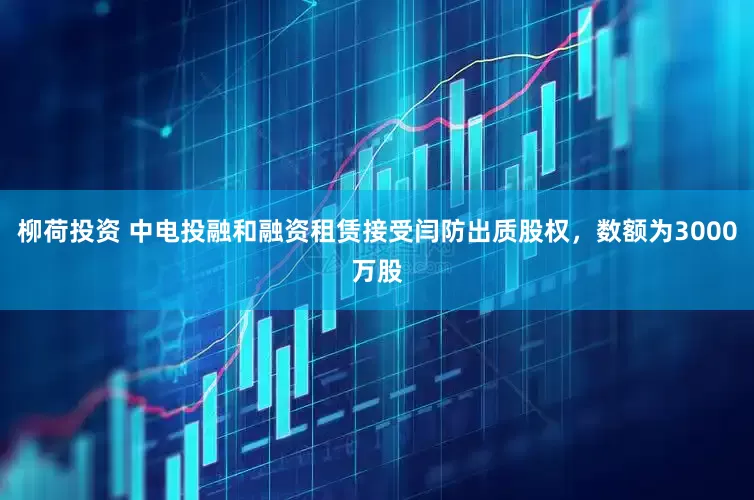 柳荷投资 中电投融和融资租赁接受闫防出质股权，数额为3000万股