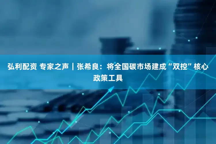 弘利配资 专家之声｜张希良：将全国碳市场建成“双控”核心政策工具