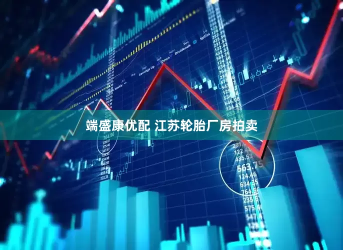 端盛康优配 江苏轮胎厂房拍卖