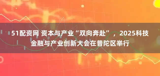 51配资网 资本与产业“双向奔赴” ，2025科技金融与产业创新大会在普陀区举行