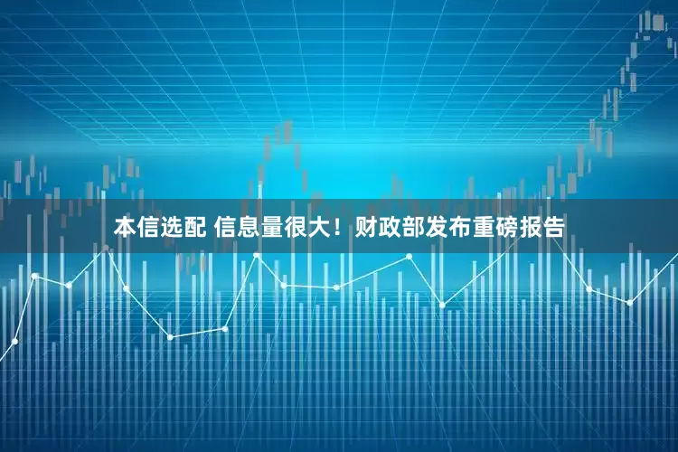 本信选配 信息量很大!财政部发布重磅报告