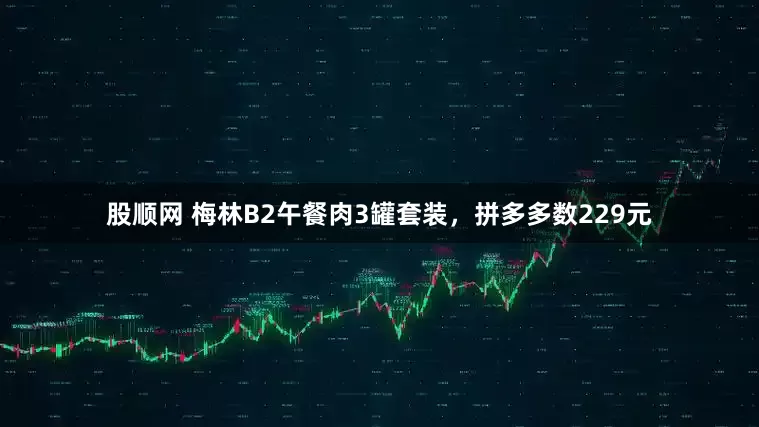 股顺网 梅林B2午餐肉3罐套装，拼多多数229元